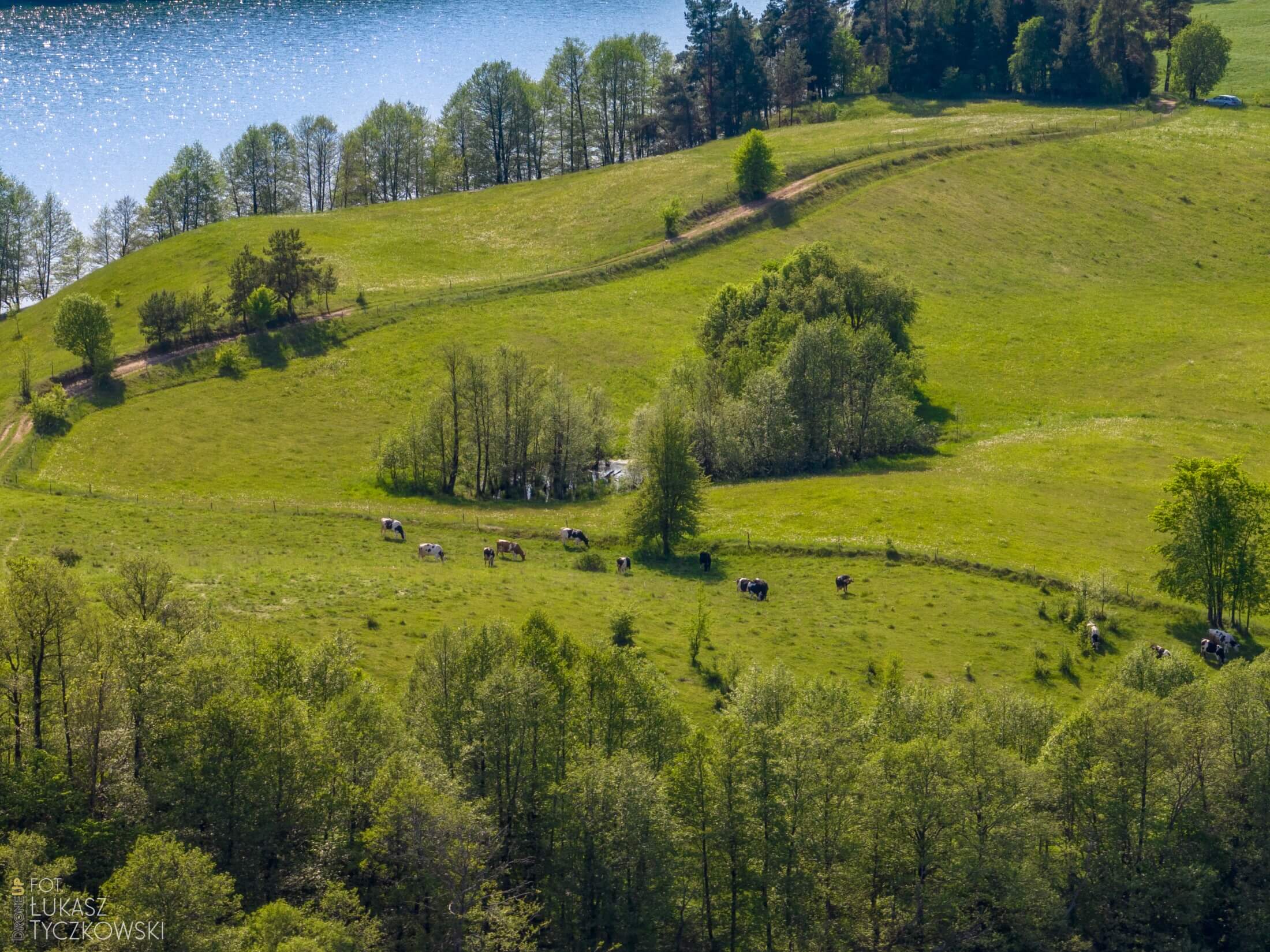 Przyroda Suwalszczyzny