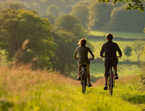 Wschodni Szlak Rowerowy Green Velo – informacje ogólne